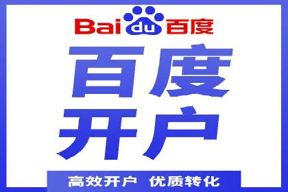 成功运用SEM服务实现品牌推广的案例分析